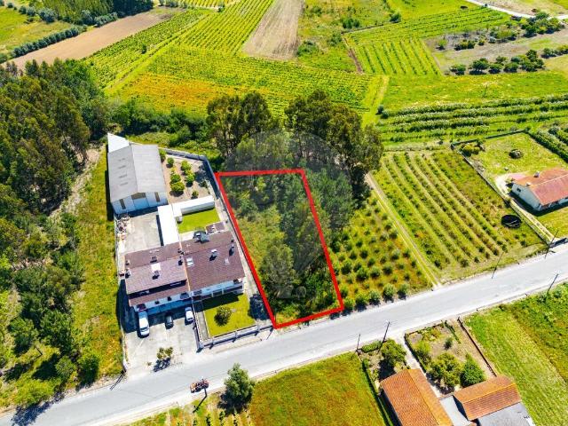 Terreno venda em Quinta do Ferreira, Cantanhede