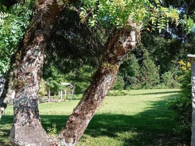 Terreno venda em Região Geográfica Imediata de Caxias do Sul, Canela