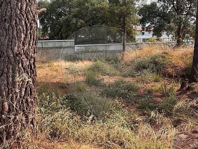 Terreno venda em Quinta do Anjo, Palmela