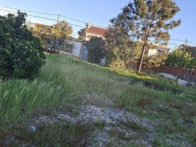 Terreno venda em Quinta do Anjo, Palmela