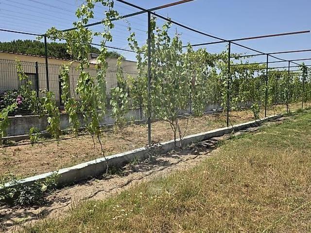 Terreno venda em Quinta do Anjo, Palmela