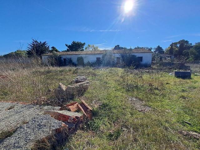 Terreno venda em Quinta do Anjo, Palmela