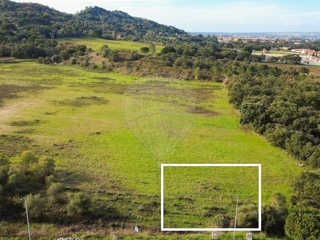 Terreno venda em Quinta do Anjo, Palmela