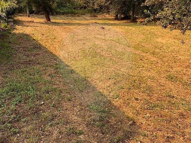 Terreno venda em Dobradoura, Raimonda