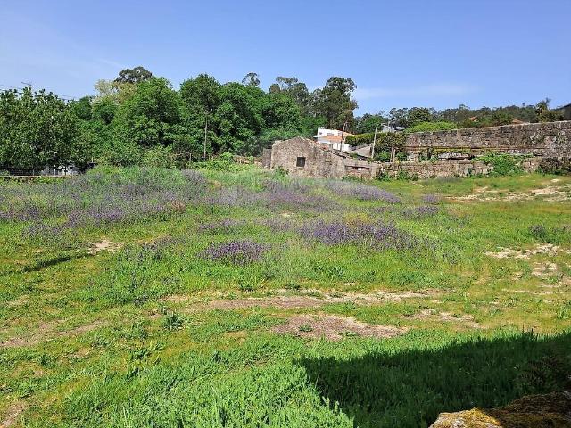 Terreno venda em Dobradoura, Raimonda