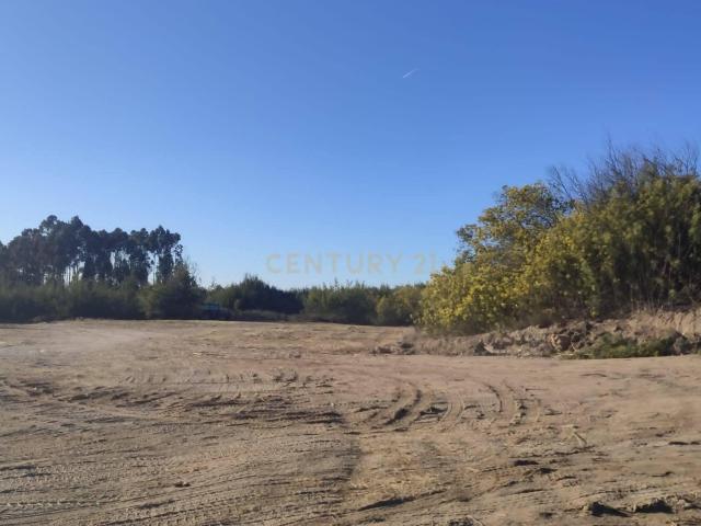 Terreno venda em Guarda, Celorico Da Beira