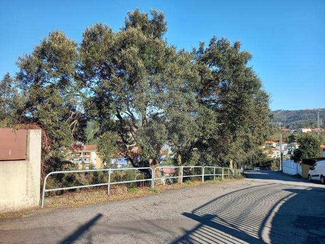 Terreno venda em Cabido, Bitarães