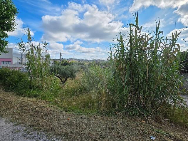 Terreno venda em Vermoil, Pombal