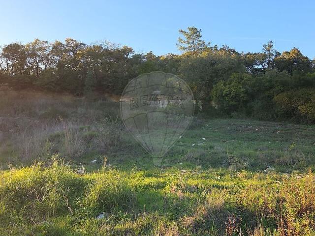 Terreno venda em Reguengo do Fetal, Batalha