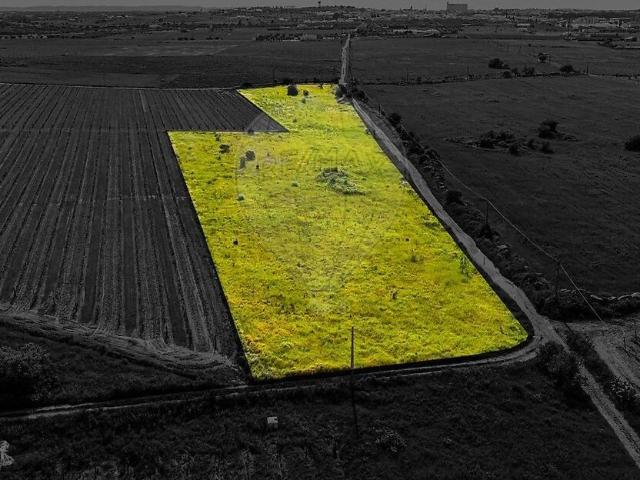 Terreno venda em Reguengos De Monsaraz, Évora