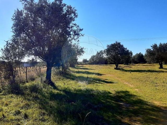 Terreno venda em Reguengos De Monsaraz, Évora