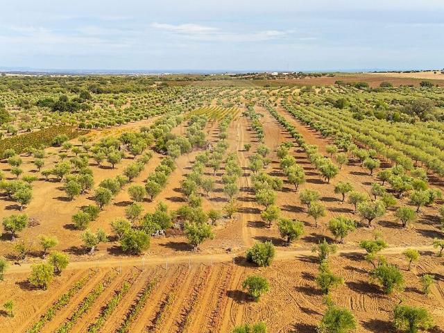 Terreno venda em Reguengos De Monsaraz, Évora