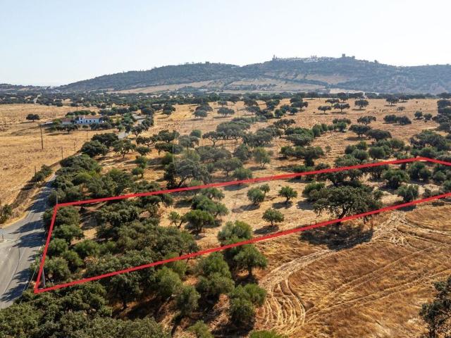 Terreno venda em Aldeia de Outeiro, Reguengos De Monsaraz