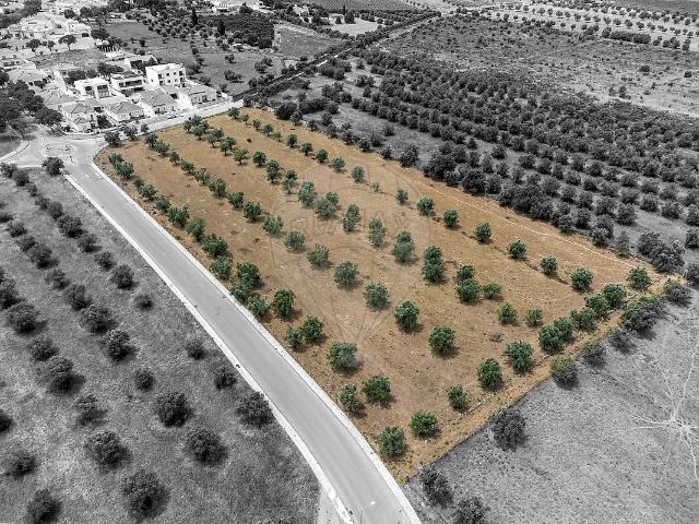Terreno venda em Reguengos de Monsaraz