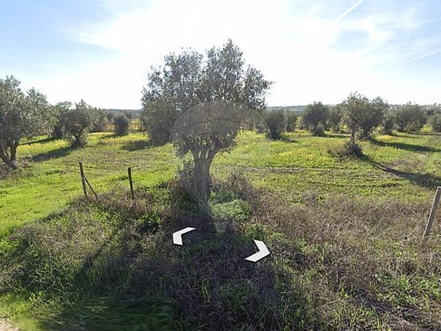 Terreno venda em Reguengos de Monsaraz