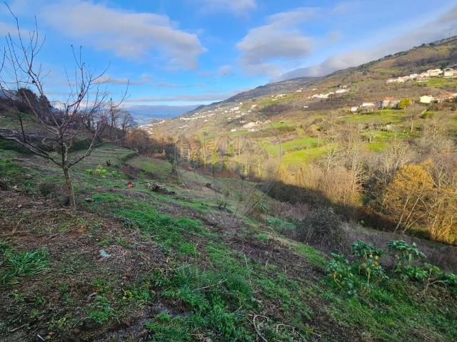 Terreno venda em Resende, Viseu