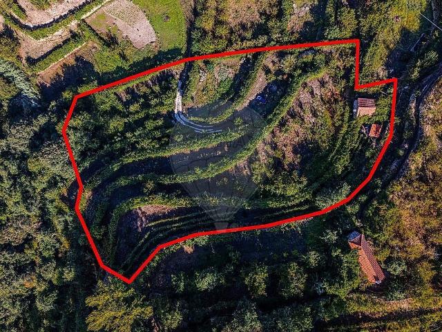 Terreno venda em Resende, Viseu