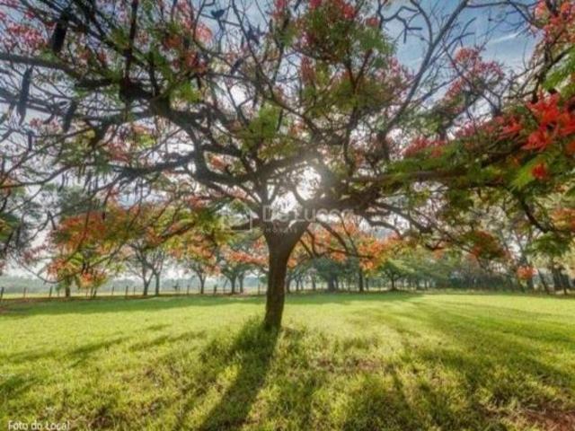 Terreno venda em Santo Antônio de Posse