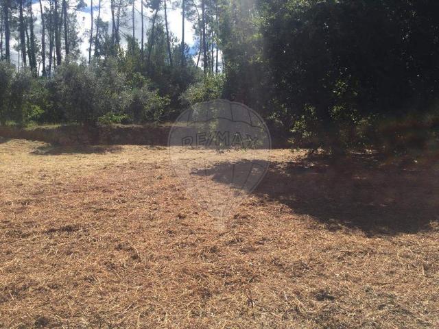 Terreno venda em Bairro das Mesuras, Viseu