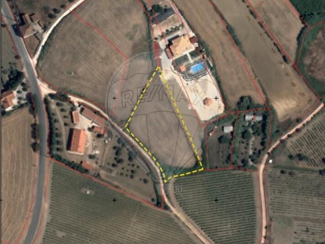 Terreno venda em Ribafria e Pereiro de Palhacana, Alenquer