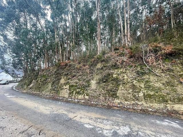 Terreno venda em Ribeira do Neiva, Vila Verde