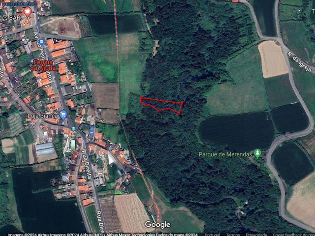 Terreno venda em Açores, Ribeira Grande
