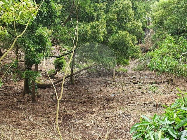 Terreno venda em Açores, Ribeira Grande