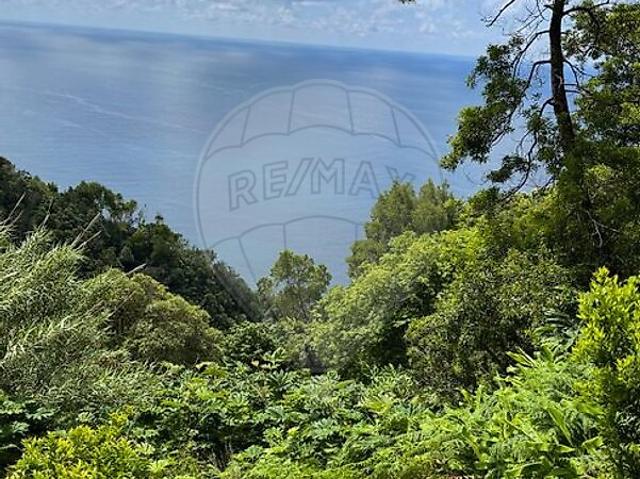 Terreno venda em Ribeira Quente, Povoação