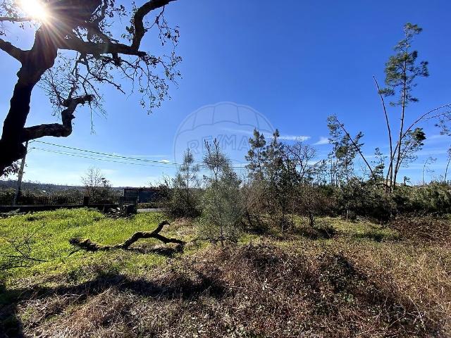 Terreno venda em Rio de Couros, Ourém