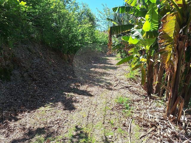 Terreno venda em Rio Frio, Arcos de Valdevez