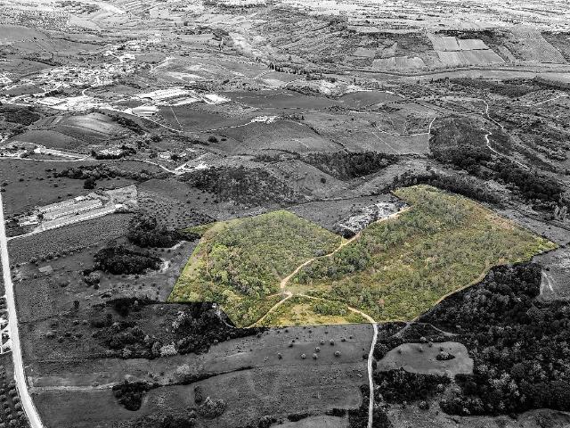 Terreno venda em Rio Maior, Santarém