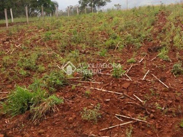 Terreno venda em Região Geográfica Imediata de Encantado, Roca Sales