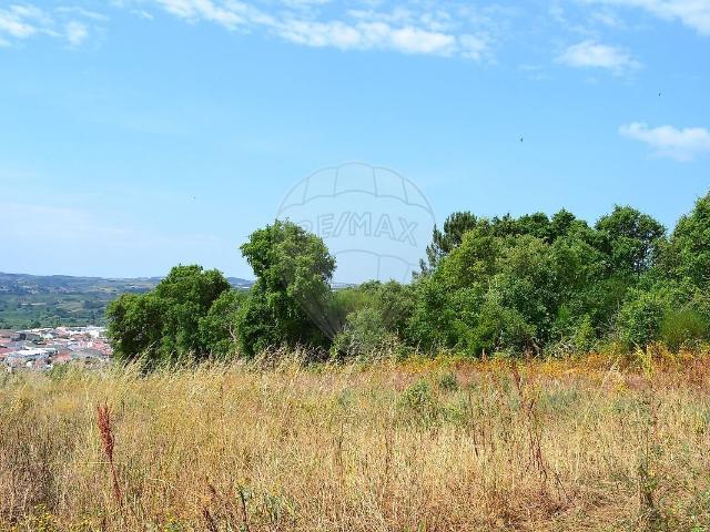 Terreno venda em Roliça, Bombarral