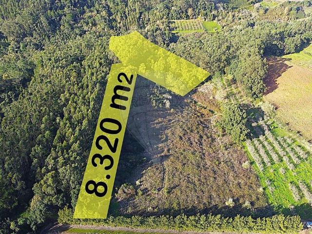 Terreno venda em Roliça, Bombarral