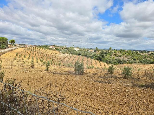 Terreno venda em Romeira e Várzea, Santarém