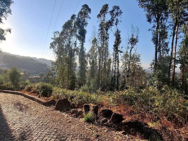 Terreno venda em Roriz, Santo Tirso