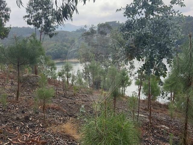 Terreno venda em Rossas, Vieira do Minho
