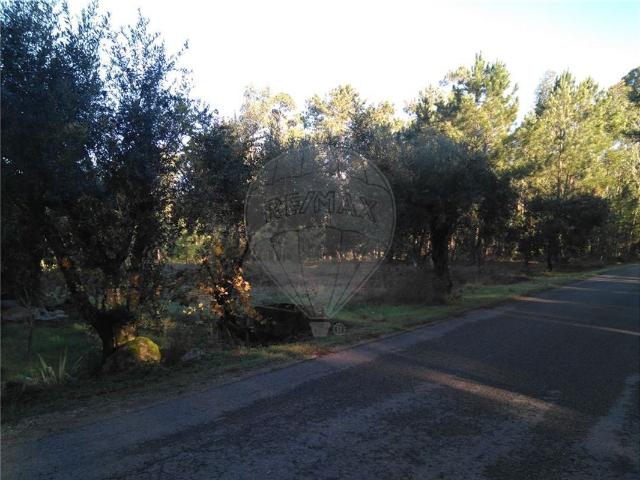 Terreno venda em Pombal, Leiria