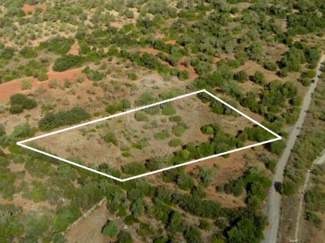 Terreno venda em Ribeirinho Meirinho, São Bartolomeu de Messines