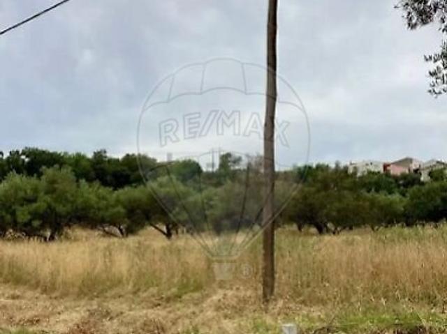 Terreno venda em São Brás de Alportel