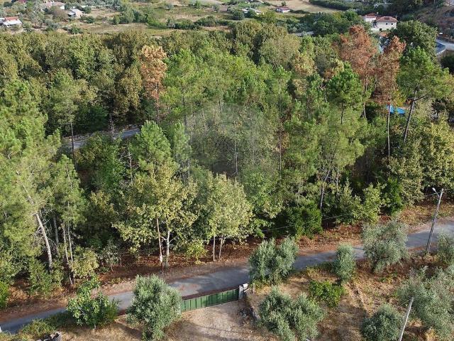 Terreno venda em Ferrocinto, Viseu