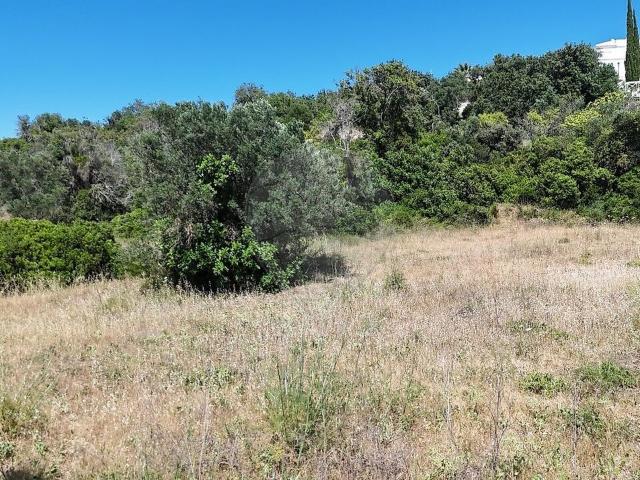 Terreno venda em Loulé (São Clemente), Loulé