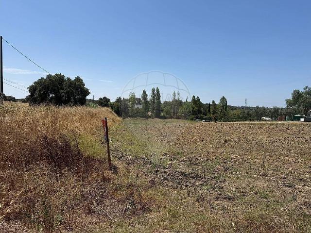 Terreno venda em Silveiras, Montemor-o-Novo