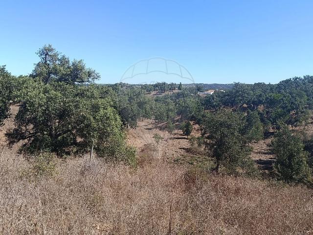 Terreno venda em São Francisco da Serra, Santiago do Cacém
