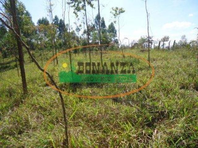 Terreno venda em Região Geográfica Imediata de Conselheiro Lafaiete, Conselheiro Lafaiete