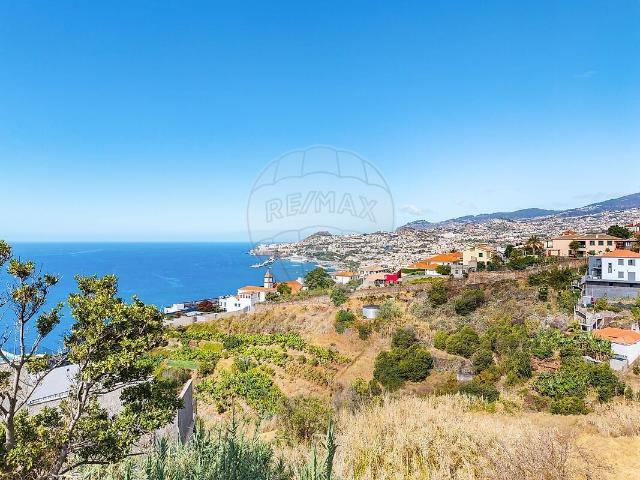 Terreno venda em Palmeira, Funchal