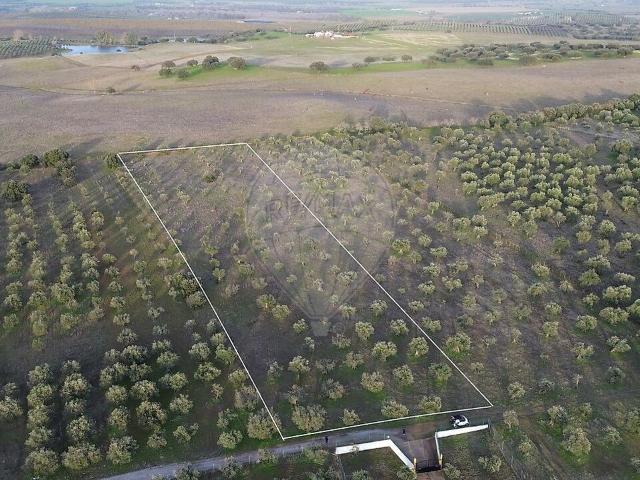 Terreno venda em São João Baptista, Campo Maior