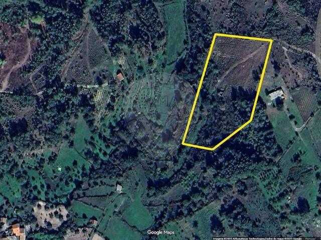 Terreno venda em São João da Fresta, Mangualde