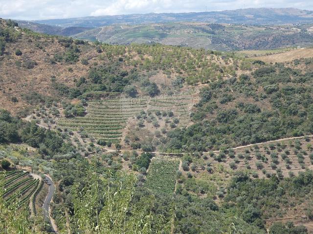 Terreno venda em Nagoselo Do Douro, Viseu