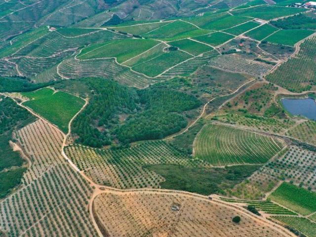 Terreno venda em Nagoselo Do Douro, Viseu